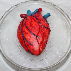 Fondant Human Heart Cake Topper - Medical Cake Topper - Fondant Heart - Nurse Cake Topper - Fondant Doctor - Doctor Topper - Fondant Medical