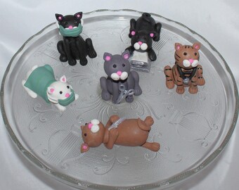 Fondant Vet Cat Cake Topper, Veterinarian Graduation, Vet Tech Grad, Pet Doctor, Kitty Theme