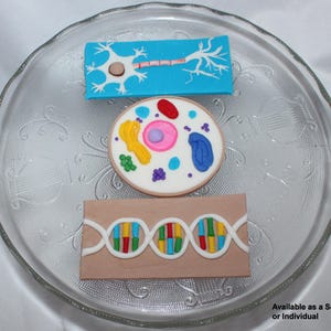 Fondant Medical Cake Topper - Medical Cake Topper - Biology Cake Topper - Doctor Graduation - Science Teacher Cake - Doctor Cake Topper