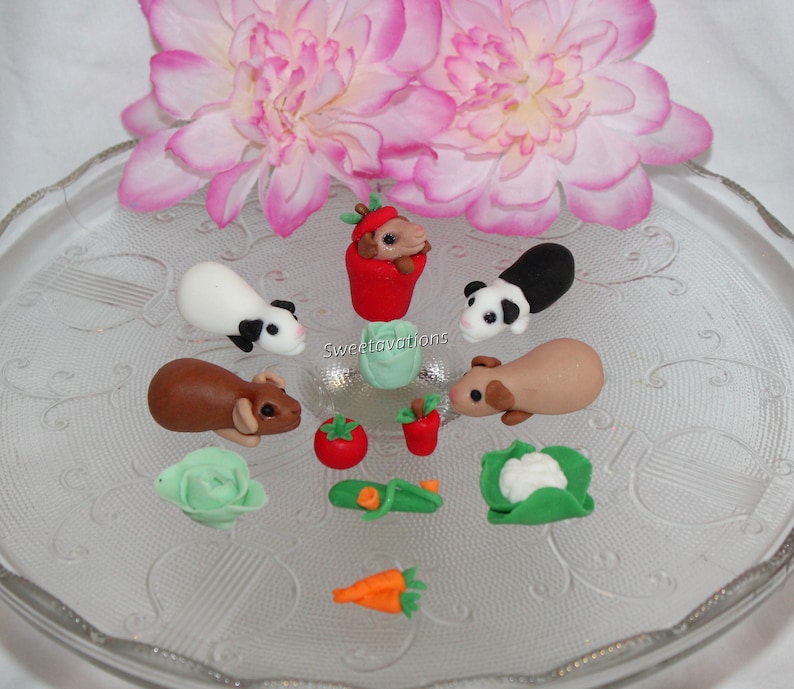 Fondant Guinea Pig Cake Topper Guinea Pig Topper Guinea Etsy UK