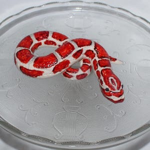 May include: A ceramic snake figurine with a red and white pattern, coiled on a clear glass plate. The snake has a detailed design with black eyes and is a decorative item.