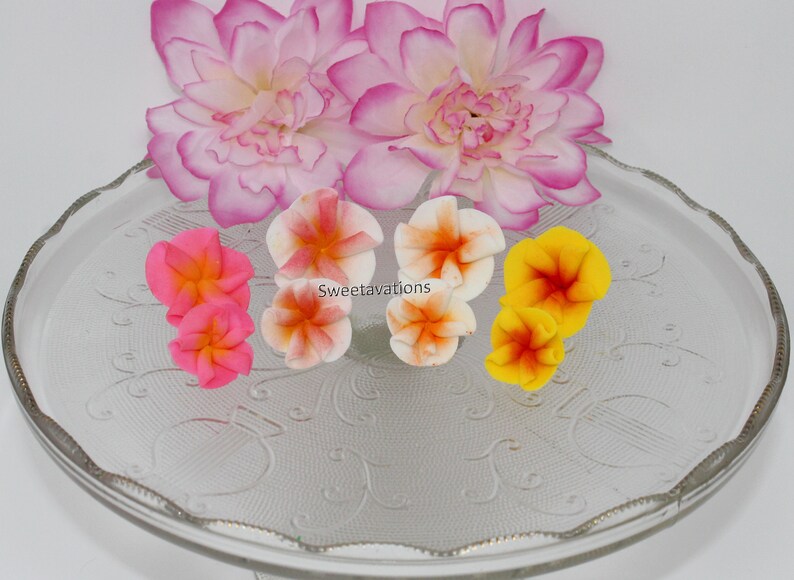 Fondant Plumeria Cake Topper Sugar Flower Plumeria Etsy
