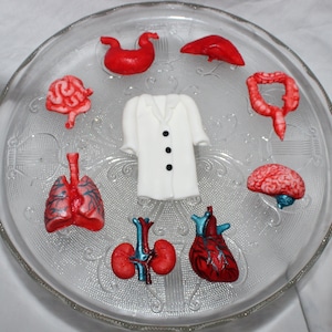 Fondant Medical Cake Topper - Fondant Heart - Fondant Brain - Fondant Kidney - Doctor Cake Topper - Nurse Cake Topper - Medical Graduation