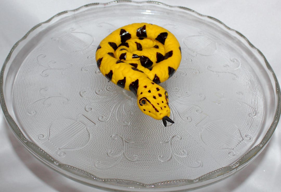 Fondant Snake Cake Topper, Reptile Birthday, Python, Boa Constrictor - Etsy