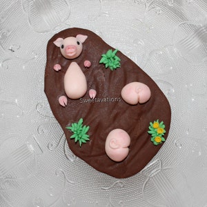 May include: A pink pig cake topper with brown icing, green and yellow decorations, and the text "Sweetavations".