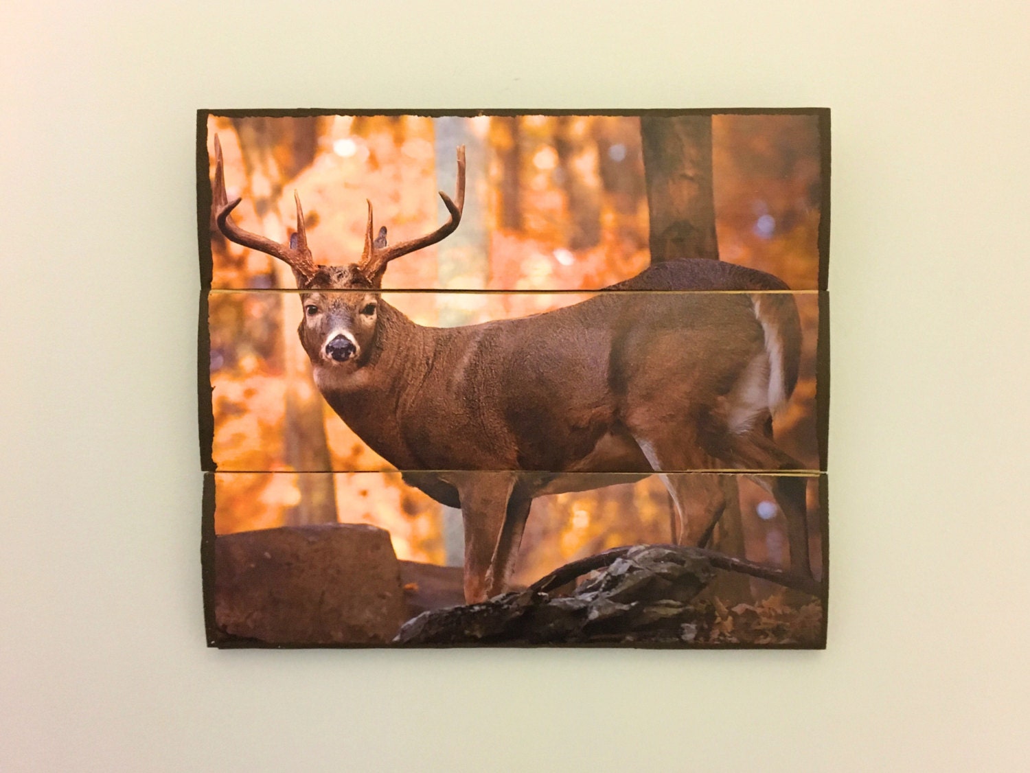 Deer Wall Art Buck Wall Decor Deer Antlers Hunting Decor 8 Etsy