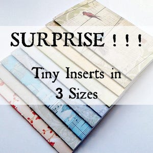 May include: A stack of small, colourful notebooks with different patterns. The notebooks are labelled "Tiny Inserts in 3 Sizes" and "SURPRISE!!!".