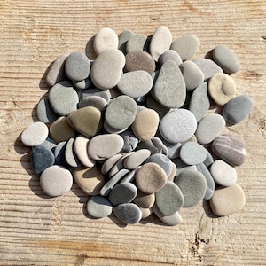 Small Mix Size Smooth and Thin Beach Stones - Small Flat Beach Stones - Bulk Beach Rocks-Sea Stones - Pebble Art Supply