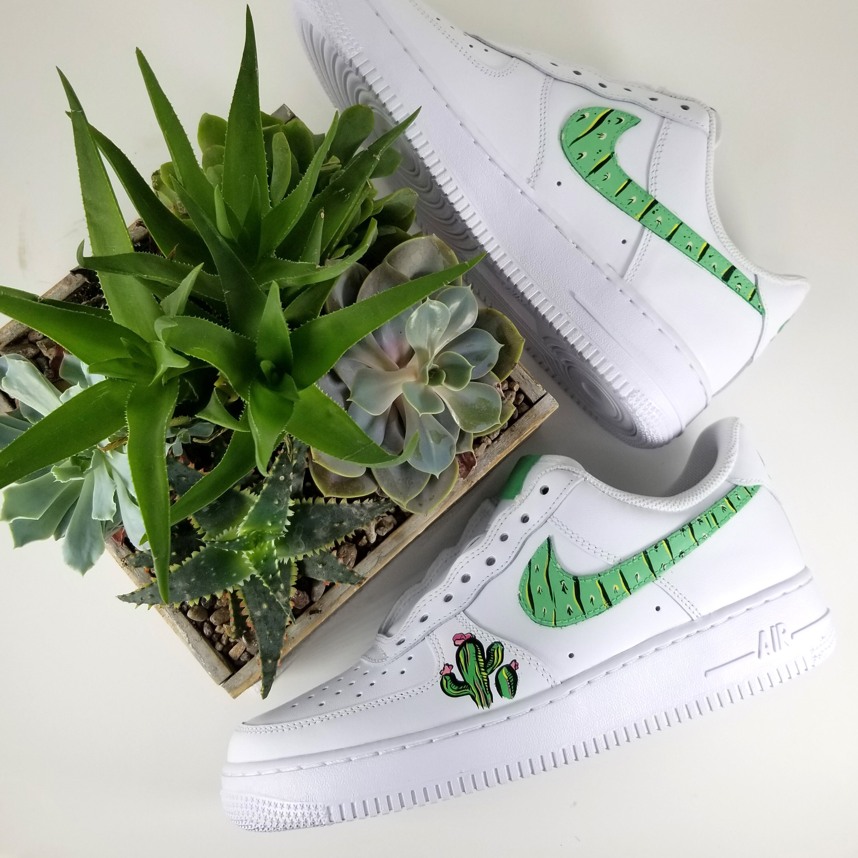 cactus af1