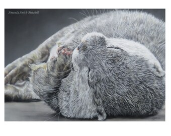 Otter Lying On It's Back, Original Pastel Artwork