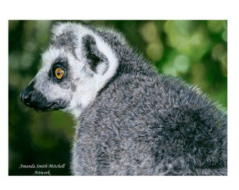 Ring-Tailed Lemur Pastel Drawing: Original Wildlife Art