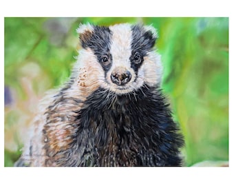 Badger Portrait, Pastel Pencil Art.