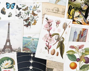 15 Assorted Vintage Style Postcards Sample Pack - Curated Selection from My Exclusive Postcard Designs for Happy Mail, Paper Crafts