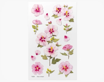 Flower Stickers, Rose of Sharon - Korean Pressed Flower and Plant Stickers by Appree for Paper Crafts, Scrapbooking, Journaling
