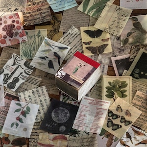 MO•CARD Mini 366 Page Memo Pad, Translucent Paper 1.6&quot;x2&quot; - Small Vintage Prints for Journaling, Junk Journal, Notebooks, Paper Crafts