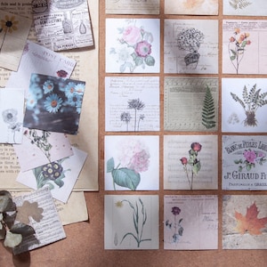 Nature Sticker Sets - 20 Die Cut Vintage Floral Stickers for Art Journaling, Scrapbooking, Junk Journal, Paper Crafts, Retro Botanical