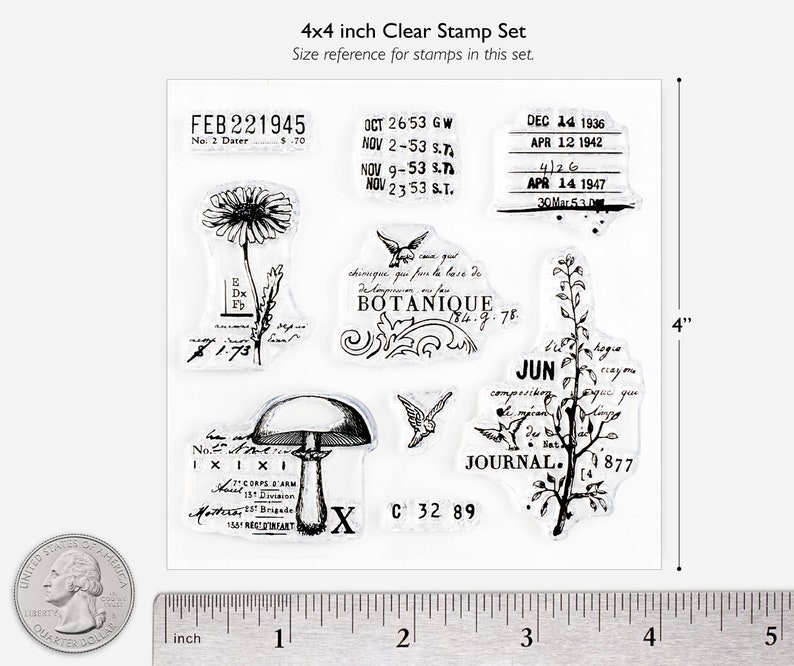 Clear Stamps Botanique SHOP EXCLUSIVE for Paper Crafts, Scrapbooking, Junk Journals, Notebooks, Mixed Media, Floral Vintage 4x4 in image 2