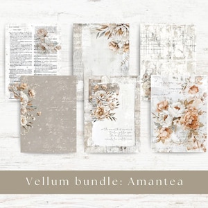 May include: A collection of vellum paper sheets with floral and vintage designs. The papers feature faded text, botanical illustrations, and a neutral color palette of beige, cream, and brown. The text "Vellum bundle: Amantea" is at the bottom.