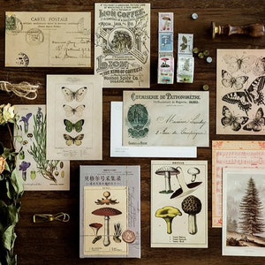 Cartes postales de style vintage par MO•Card pour scrapbooking - Ensemble de 30 cartes de style rétro antique pour la journalisation, les cahiers, l'artisanat en papier