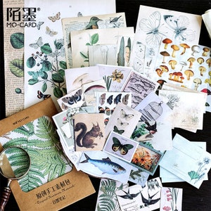 Material Packs by MOCARD Vintage Style Paper and Sticker Sets for Art Journaling, Junk Journals, Notebooks, Paper Crafts, Reproductions image 2