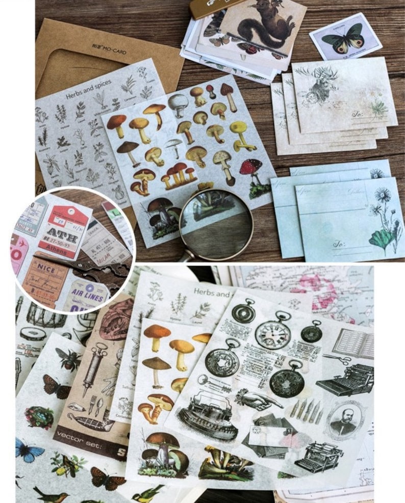 Material Packs by MOCARD Vintage Style Paper and Sticker Sets for Art Journaling, Junk Journals, Notebooks, Paper Crafts, Reproductions image 6