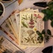 Botany Material Books 30 Pages - Vintage Style Botanical Paper Prints for Art Journaling, Junk Journals, Notebooks, Ephemera, Kraft 