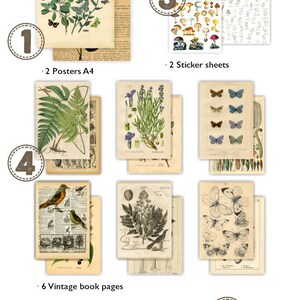 Material Packs by MOCARD Vintage Style Paper and Sticker Sets for Art Journaling, Junk Journals, Notebooks, Paper Crafts, Reproductions image 8