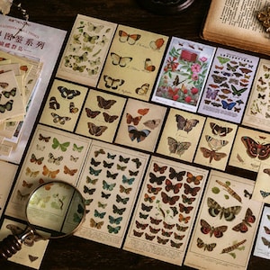 May include: Assortment of colorful butterfly themed scrapbook paper with various designs and patterns. The paper features butterflies in different colors, sizes, and poses. The paper is perfect for adding a touch of whimsy to your crafts.