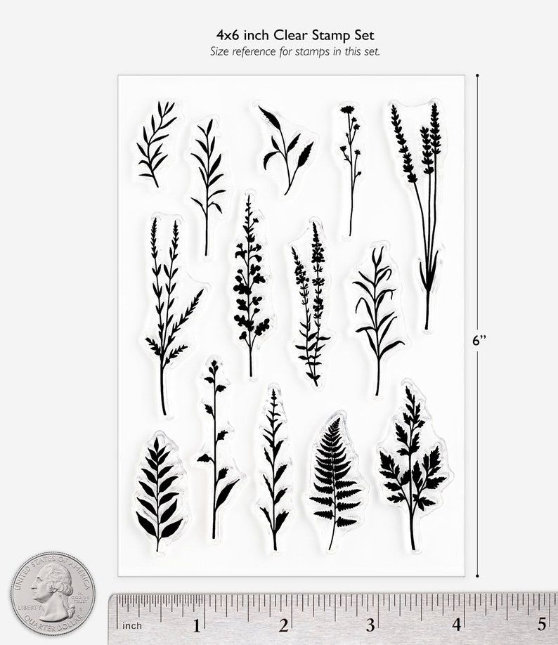 Plant Silhouettes Clear Stamp Set - Botanical Floral Drawings *SHOP ...
