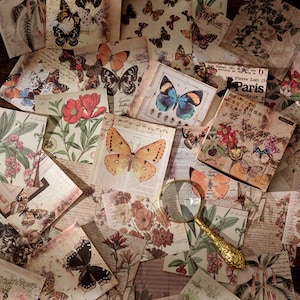 May include: A collection of vintage-style decorative paper squares featuring butterflies, flowers, and botanical illustrations. The papers have a distressed, aged look and are perfect for scrapbooking, card making, or other craft projects.