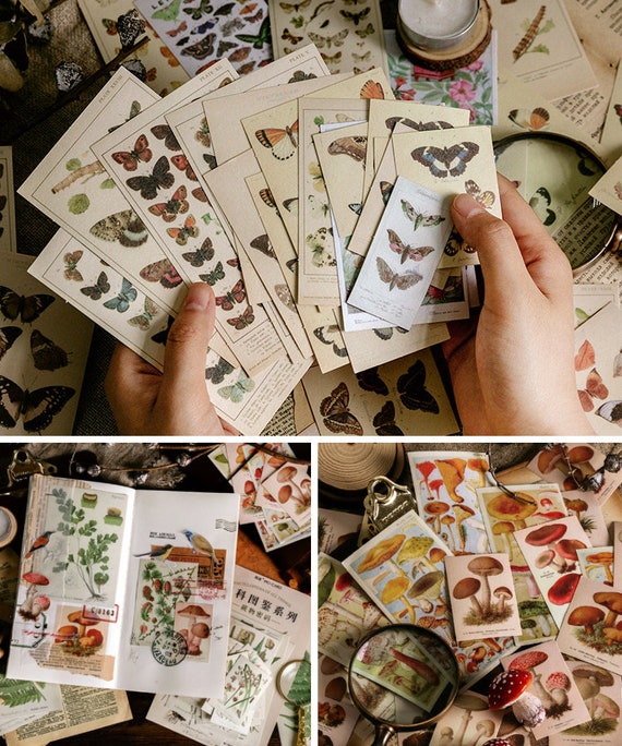 Vintage Scrapbook Stickers Washi Stickers Antique Paper Stickers Retro  Decorative Decals Collection Stickers for Art Journaling DIY Crafts Diary