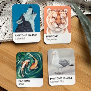 Tier Pantone Sticker Set Geschenkidee für Tierliebhaber Niedliche Kunstaufkleber für Laptop Aufkleber für Becher
