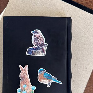 Woodland Whimsy Art Aufkleber Set Vögel Häschen Aufkleber Gouache Malerei Aufkleber für Journale Becher Laptops Skizzenbücher Wasserflaschen Ostern