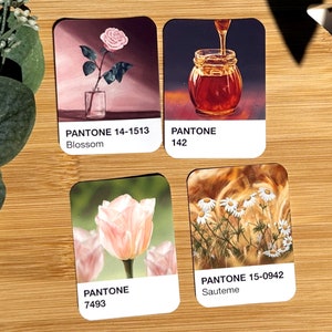 Ensemble d'autocollants artistiques en couleurs Pantone, autocollants floraux, motif floral, décoration de carte Pantone, lot d'autocollants pour album