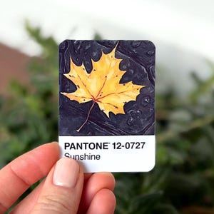 Puede incluir: Una tarjeta rectangular con una vibrante hoja de arce amarilla sobre un fondo oscuro y texturizado. El texto "PANTONE 12-0727 Sunshine" aparece en blanco. Los detalles de la hoja son visibles, evocando el otoño.