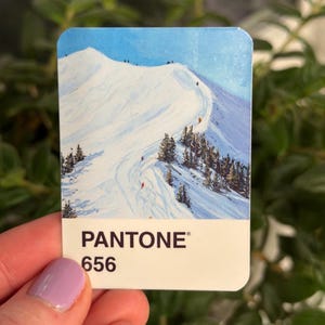 Puede incluir: Una muestra de color Pantone rectangular con una escena de montaña nevada. La imagen presenta un cielo azul, nieve blanca y árboles verdes. La muestra está etiquetada como "PANTONE 656".