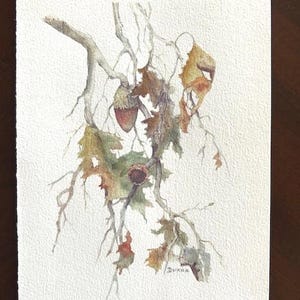 Oak Leaves and Acorns Watercolor Painting Print