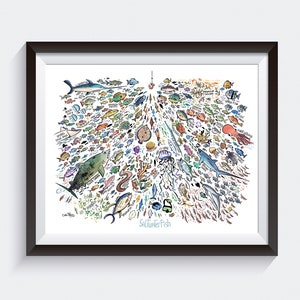 Saltwater Fish - 100s of Fish Big Art Print