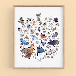 Bird Feeder Birds - Birding Art Print