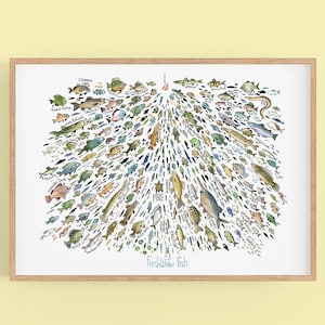 Freshwater Fish - Vibrant Fish Art Print for Kids Room Decor - Big Underwater Art Print - Poster