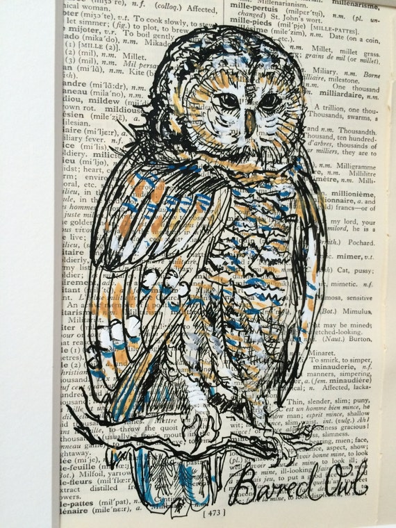 Wise Owls