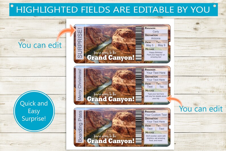 Custom Tickets to Grand Canyon // Printable Adobe Editable PDF Etsy