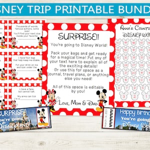 Theme Park Trip Reveal Printable Bundle // Editable PDF letter, treasure hunt clues, vacation countdown, novelty tickets, Land World game