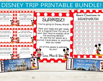 Theme Park Trip Reveal Printable Bundle // Editable PDF letter, treasure hunt clues, vacation countdown, novelty tickets, Land World game