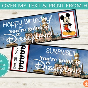 Printable and Editable Tickets! Adobe editable PDF, trip reveal tickets, surprise, vacation, theme park, custom DIY, gift idea, fun, custom