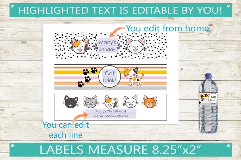 Cat Party Water Bottle Labels // Editable PDF Custom Party - Etsy