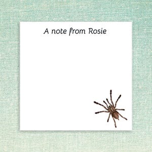 Personalized Sticky Notes with Spider Design and Custom Text // 3x3 inch 50 notes per pad name gift idea customizable stationery tarantula