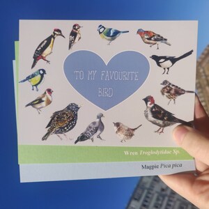 Conjunto A6 de 3 pássaros engraçados cartão postal do dia dos namorados/amante de pássaros cartão Galentine/impressão A6 reciclada/impressão de pássaros britânicos/dia dos namorados engraçado/10% RSPB