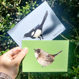 Cartão postal de carriça de pássaro A6, cartão de impressão de amante de pássaros, impressão A6 reciclada, impressão de pássaros britânicos, cartão postal de pássaro de jardim, carta verde, arte de zoologia A6