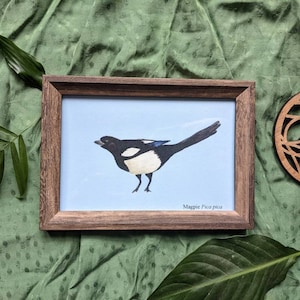 A6 vogel ekster ansichtkaart / vogelliefhebber printkaart / Gerecyclede A6 print / Britse vogels print / tuin vogel ansichtkaart / blauw / A6 zoölogie kunst